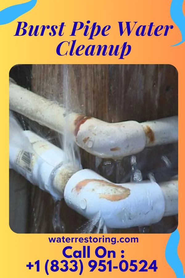 Burst Pipe Water Cleanup in Ingleside, TX