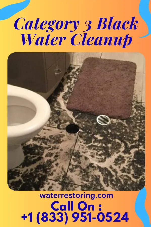 Category 3 Black Water Cleanup in Ingleside, TX